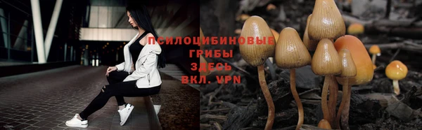 тгк Абдулино