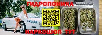 твердый Славгород