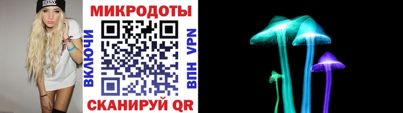 Галлюциногенные грибы Psilocybe  Фрязино 