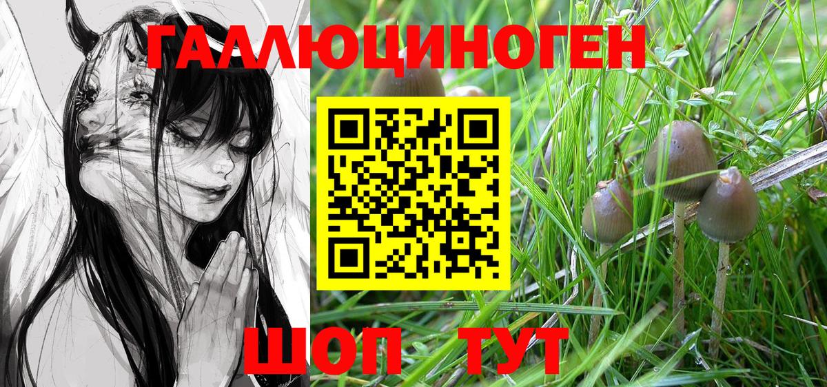 Галлюциногенные грибы мицелий Фрязино